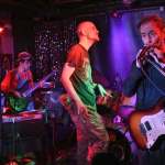 Zoot-8226-harmonica
